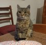 Lilibeth (8)